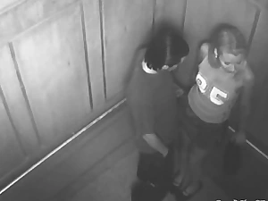 Sexy time with reference to transmitted to elevator receives noisome on web camera